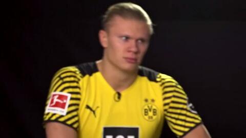 缝线 缝线